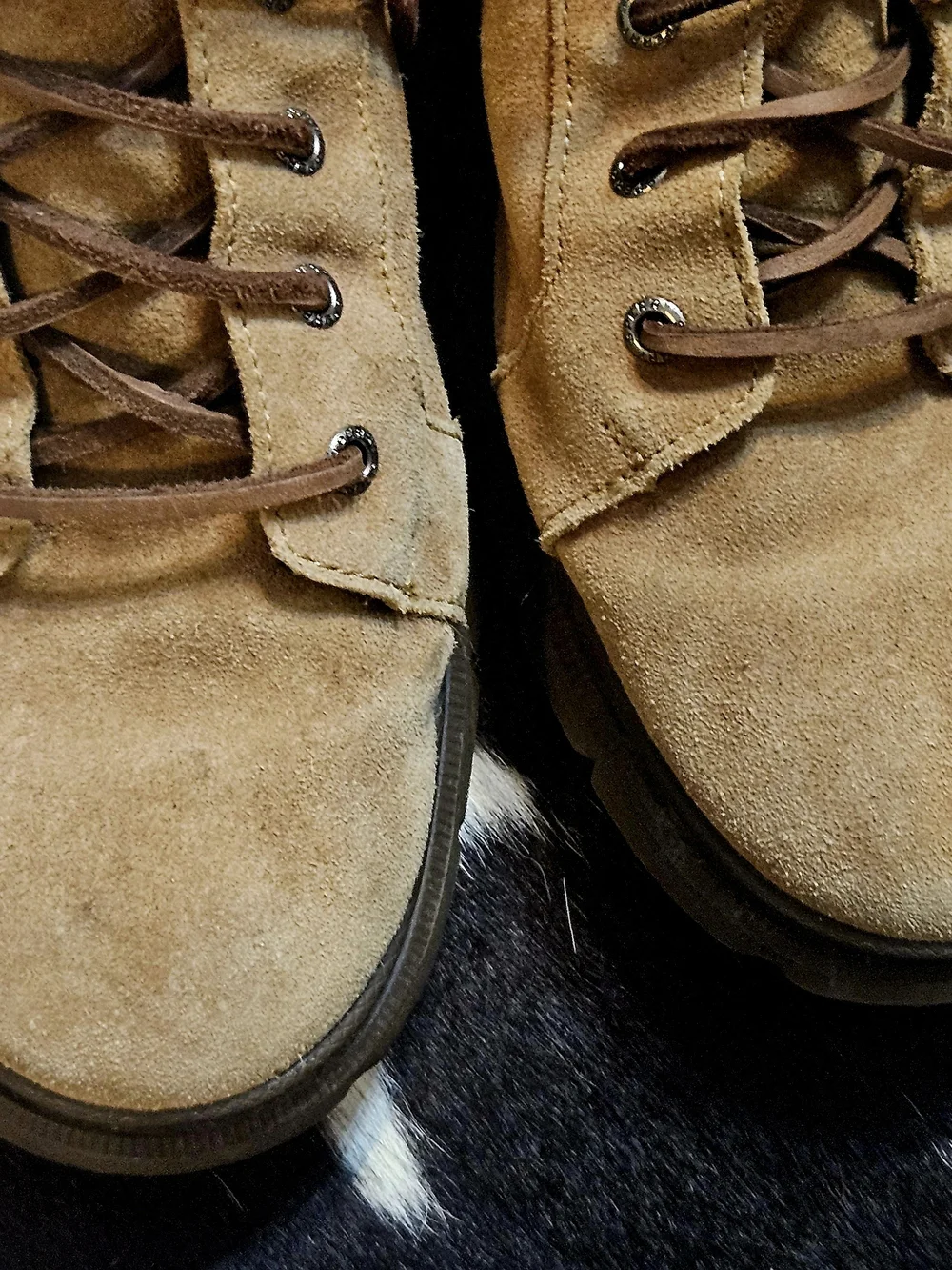 Sperry tan suede